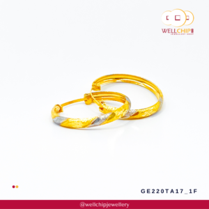 916 Gold Earring - GE220TA17_1F