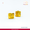 916 Gold Earstud - GE220YG26