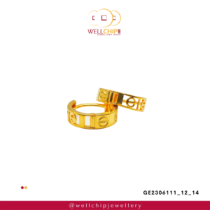916 Gold Ladies Earring - GE2306111_12_14