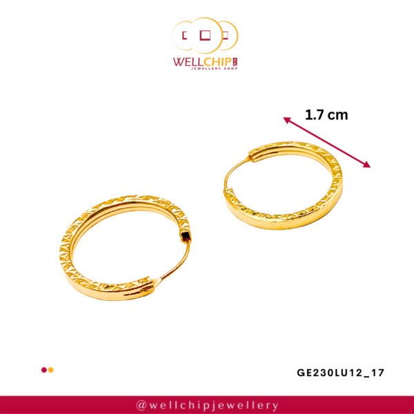 916 GOLD LADIES EARRING - GE230LU12_17 - 图片 2