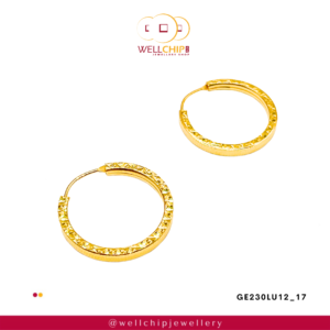 916 GOLD LADIES EARRING - GE230LU12_17