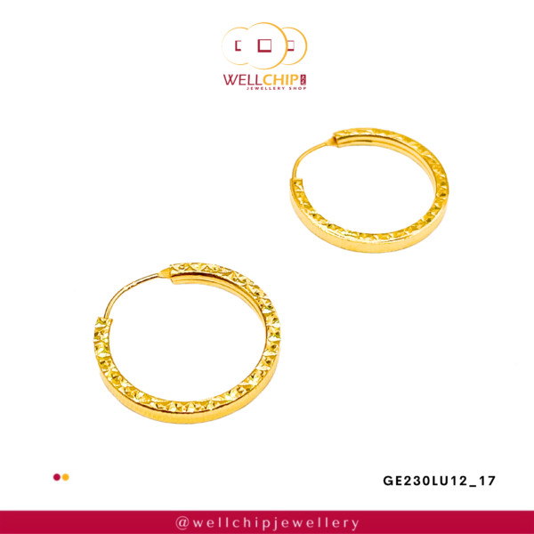 916 GOLD LADIES EARRING - GE230LU12_17